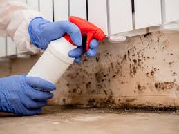 Best Mold Documentation for Insurance Claims  in Irmo, SC